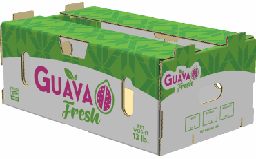 Caja para Guayaba